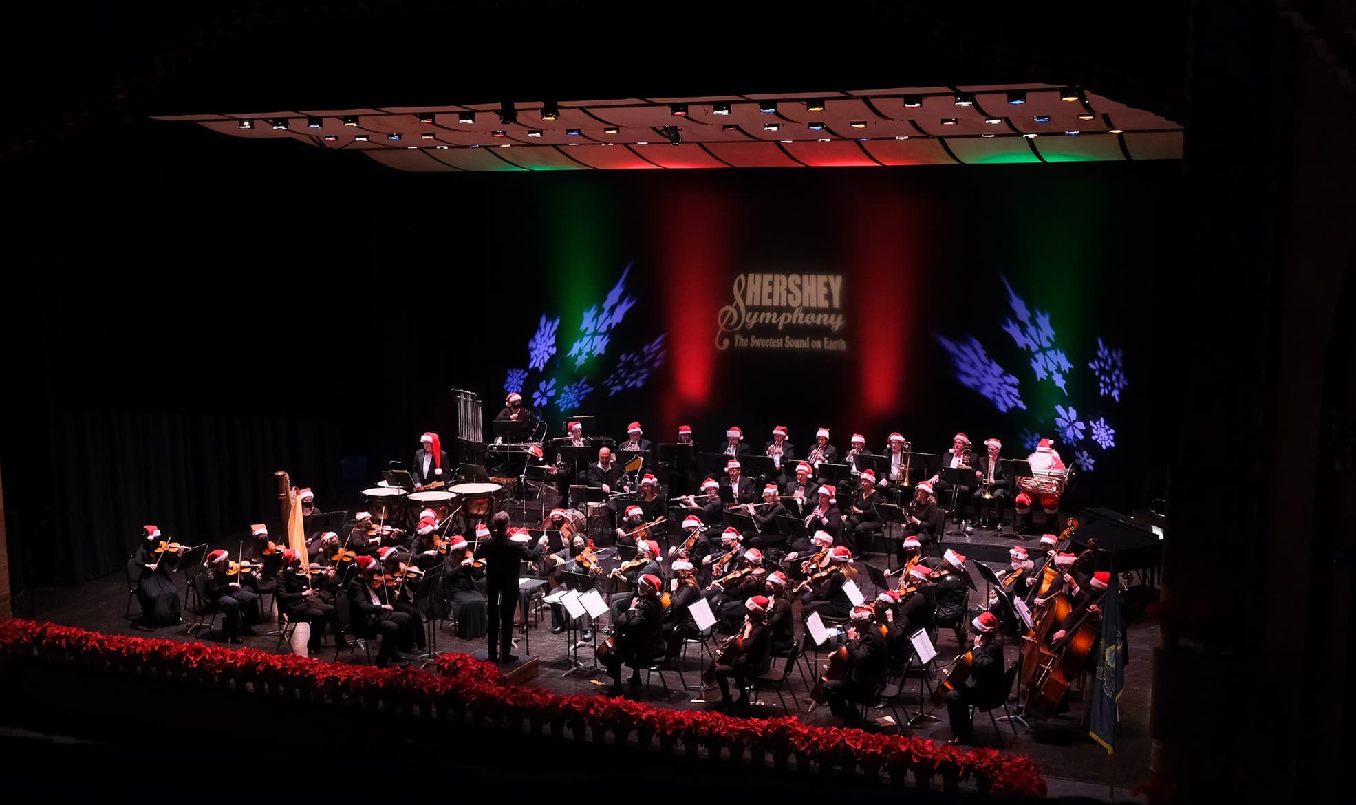 Orchestra Performance