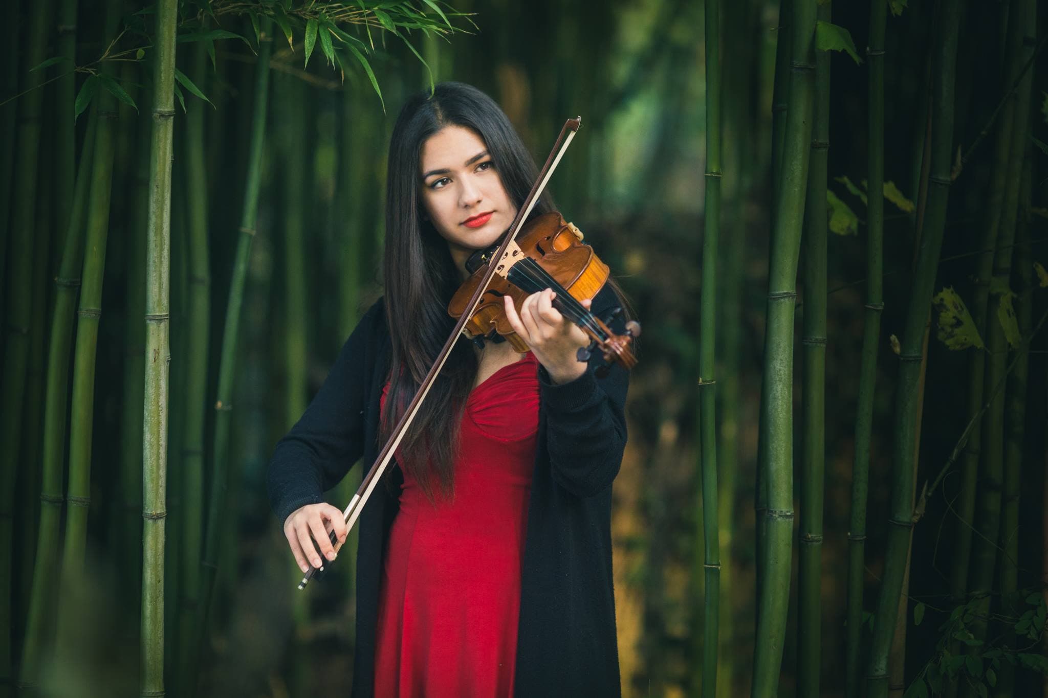 Portrait with Violin
